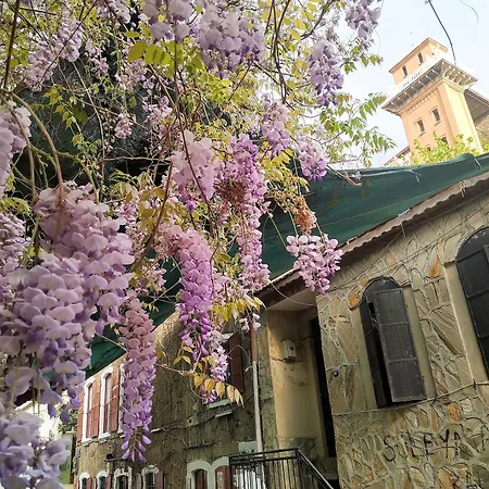 Wyndham Grand Ozdilek Thermal &