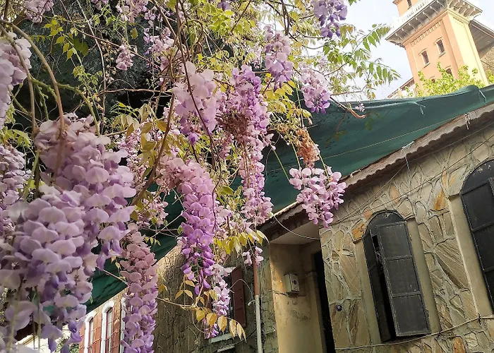 Wyndham Grand Ozdilek Thermal &